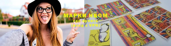 дживик Бородино