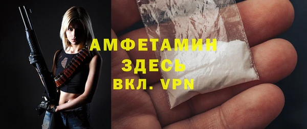 дживик Бородино