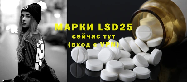 дживик Бородино