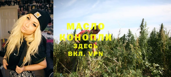 дживик Бородино