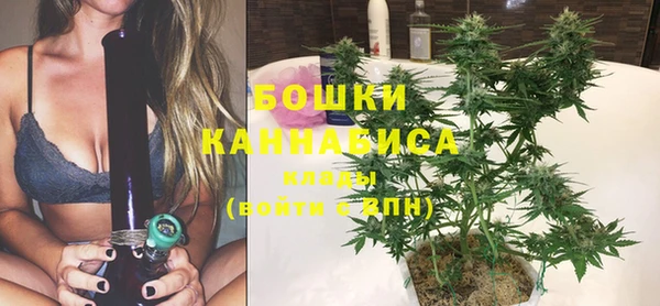 дживик Бородино