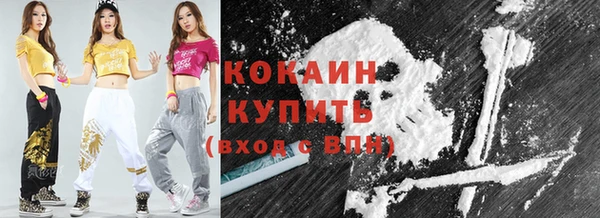 дживик Бородино