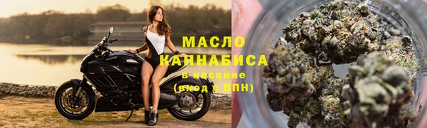 дживик Бородино