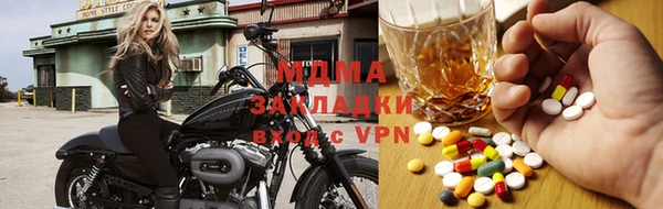 дживик Бородино