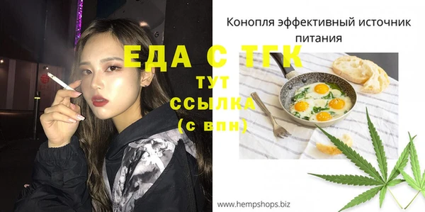 дживик Бородино