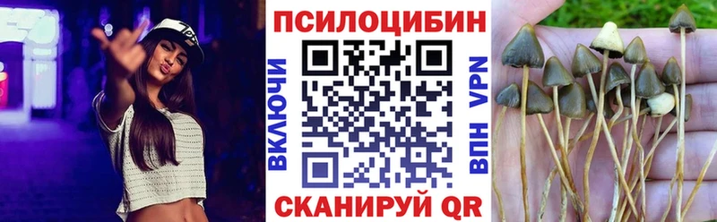 MEGA ТОР  Тотьма  Псилоцибиновые грибы мухоморы 